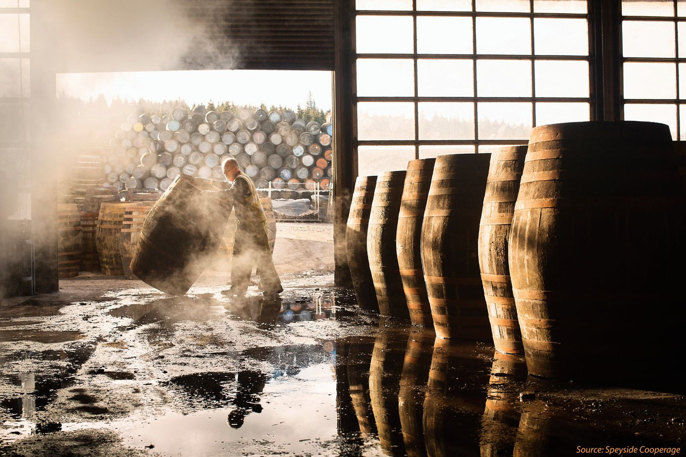 Vintage Single Malt Whisky