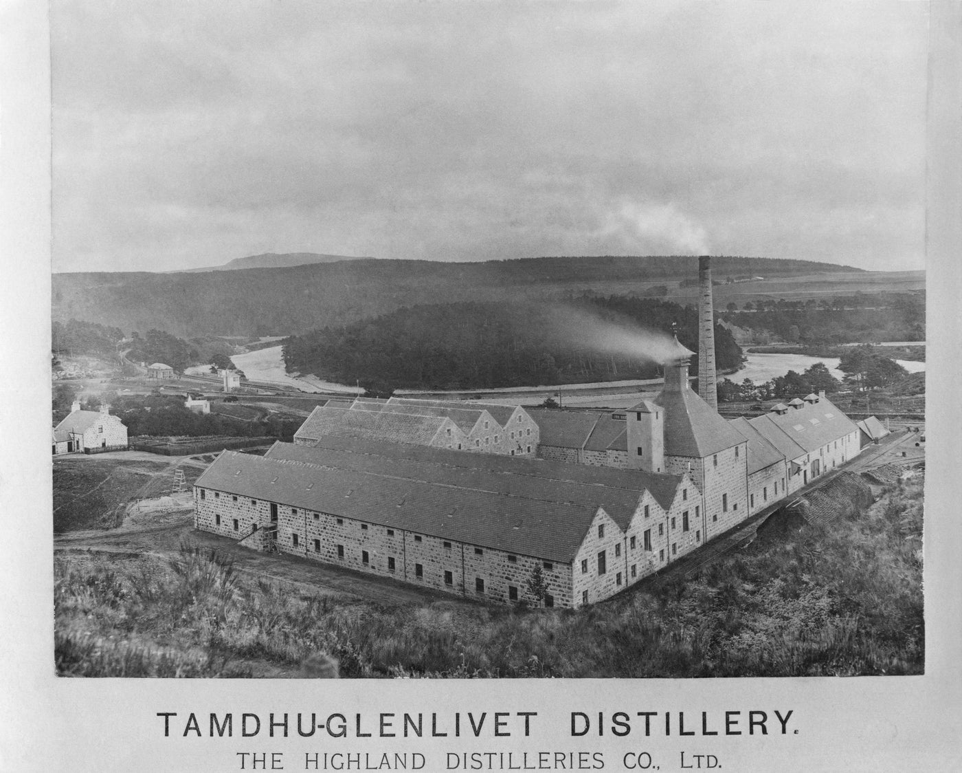 Tamdhu