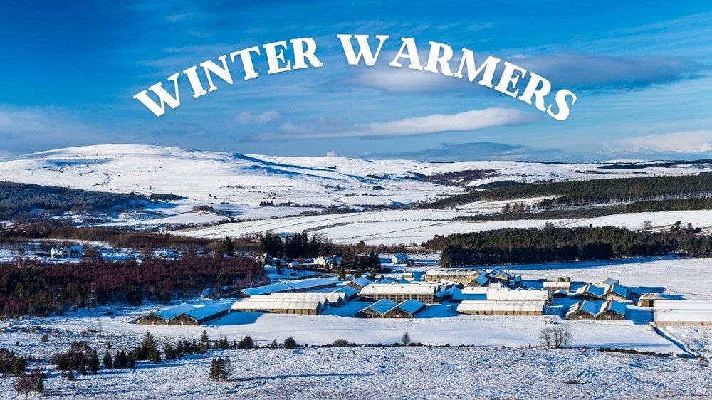 TASTING: Winter Warmers